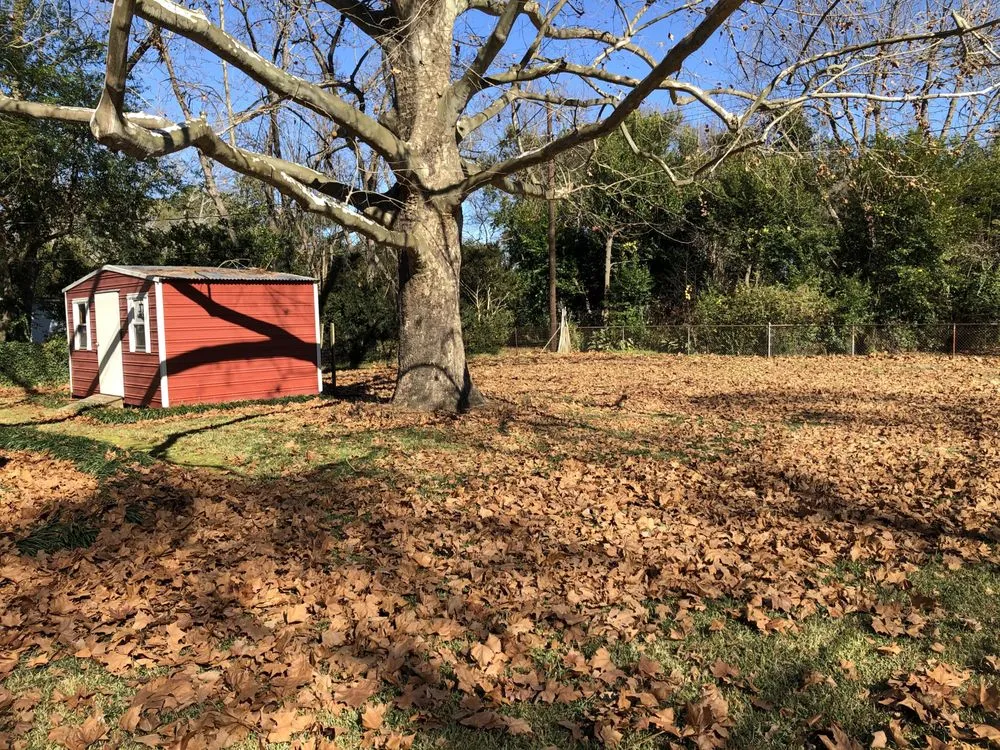 Affordable garden landscaping experts serving Montgomery, AL - Vision Property Services