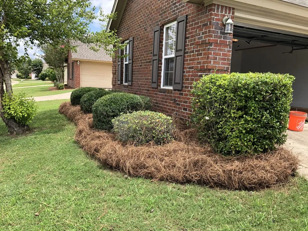 Professional residential landscaping for beautiful yards across Montgomery, AL - Vision Property Services