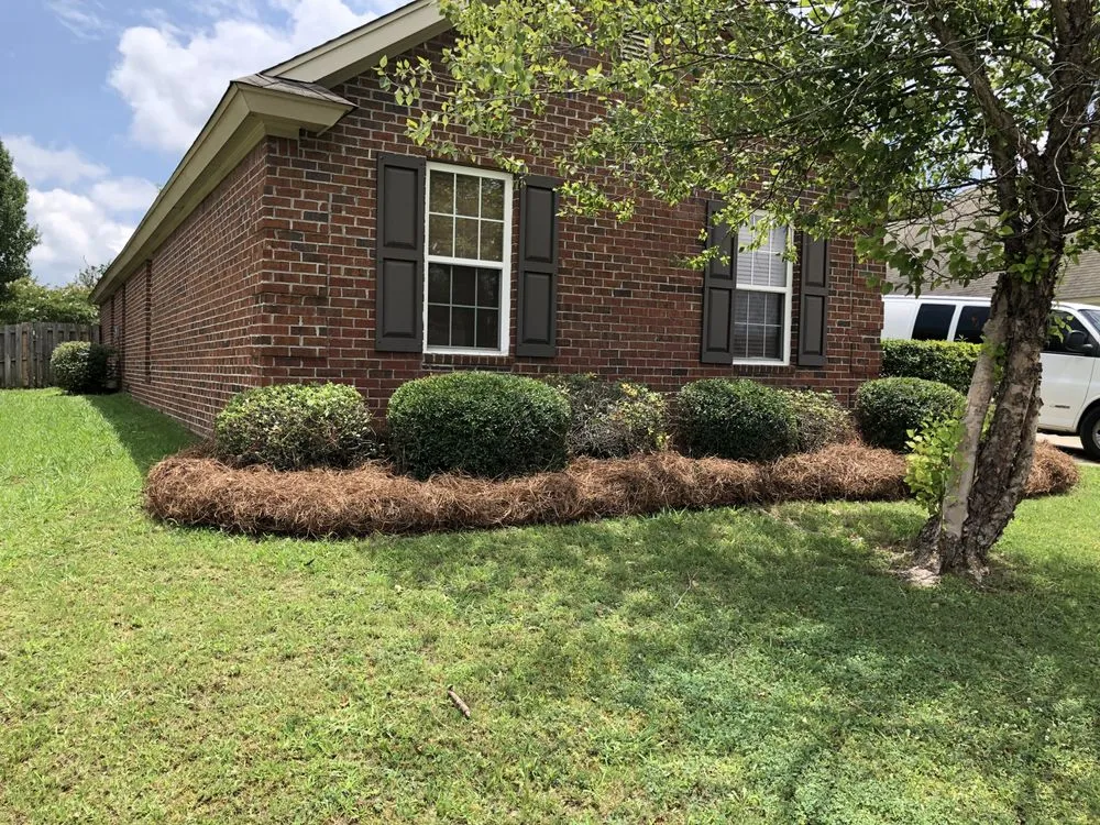 Top-rated yard maintenance experts serving Montgomery, AL - Vision Property Services