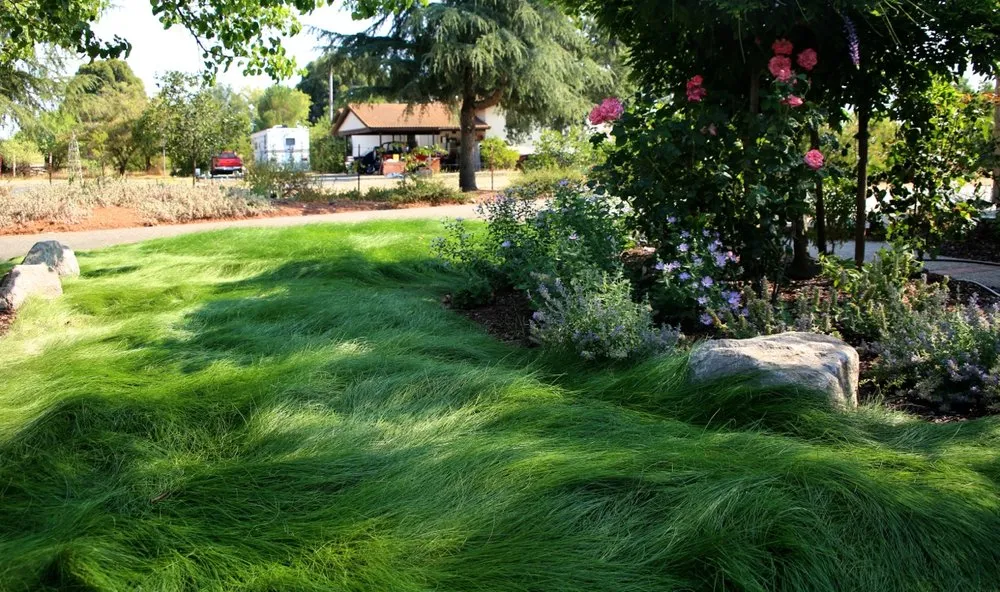 Reliable landscape design for outdoor upgrades in Livermore, CA by Vision Scapes & Associates
