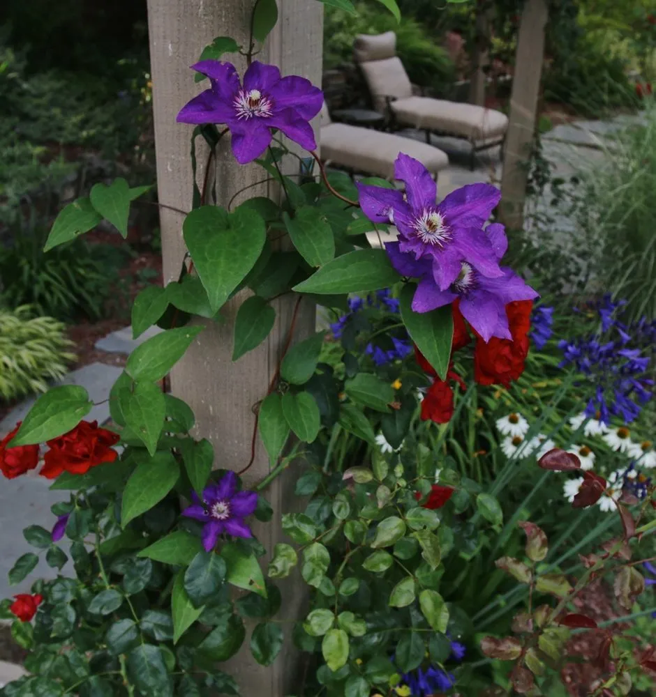 Top-rated residential landscaping experts serving Livermore, CA - Vision Scapes & Associates