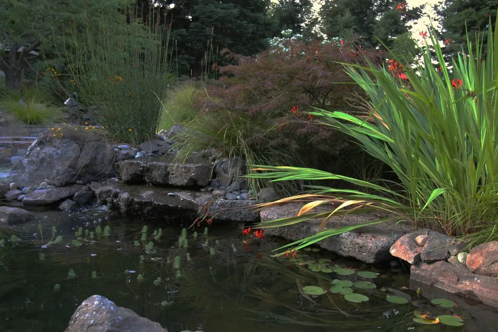 Top-rated landscape design for homes in Livermore, CA by Vision Scapes & Associates