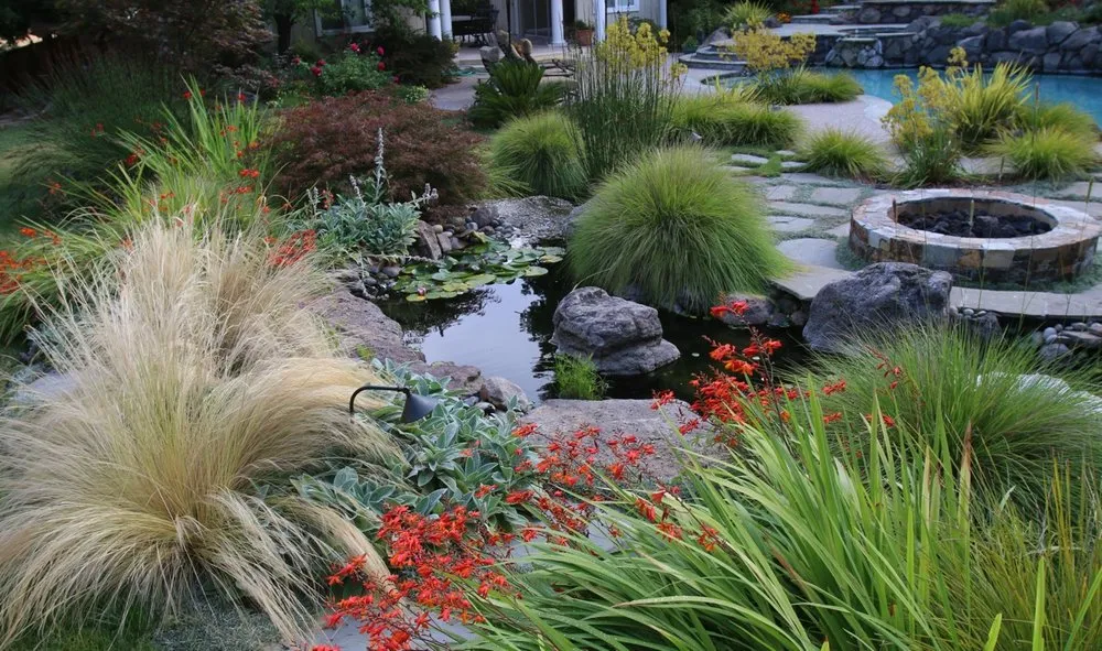 Professional residential landscaping for outdoor upgrades in Livermore, CA by Vision Scapes & Associates