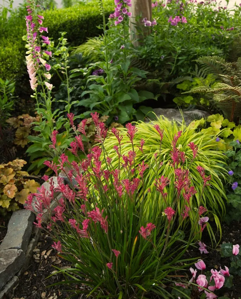 Local outdoor landscaping in Livermore, CA by Vision Scapes & Associates