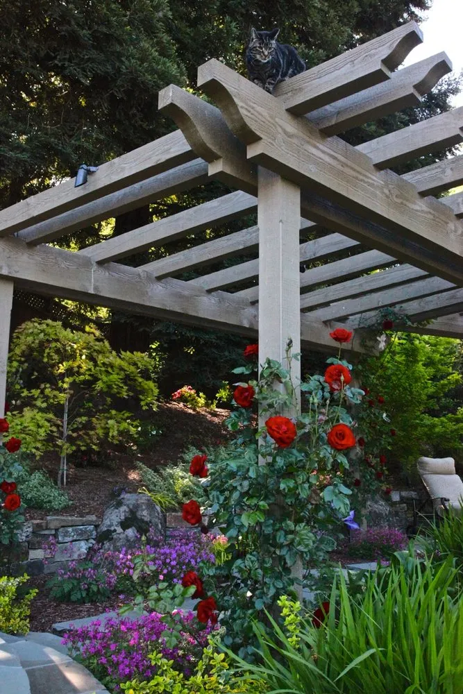 Reliable lawn care service in Livermore, CA - Vision Scapes & Associates