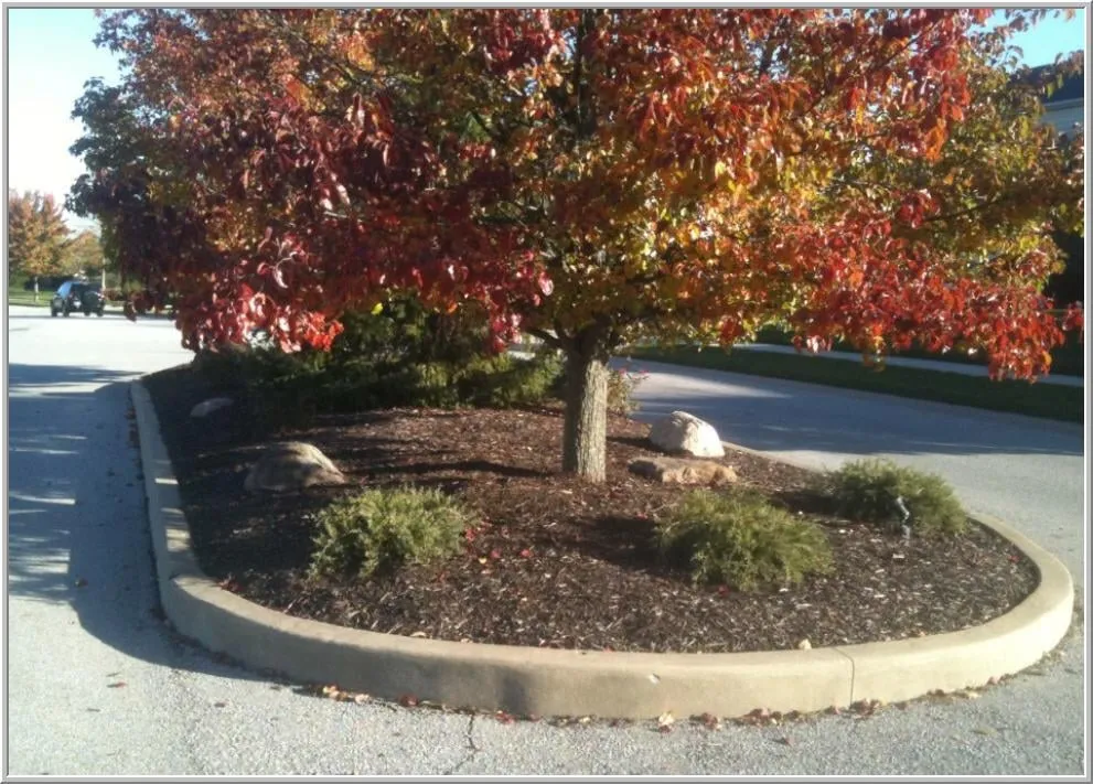 Top-rated outdoor landscaping in Fort Wayne, IN - Vision Scapes Lawn & Landscape