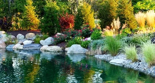 Expert yard cleanup service in Fort Wayne, IN by Vision Scapes Lawn & Landscape