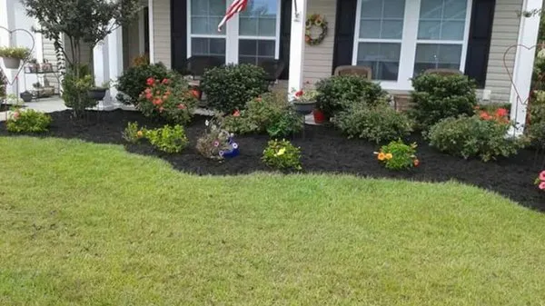 Vision Scapes Lawn Care Logo