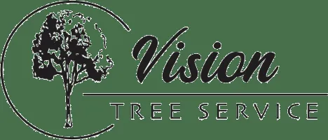 Professional landscape design in Edmond, OK by Vision Tree Service
