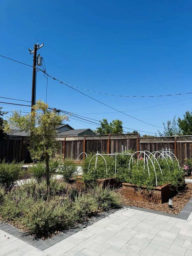Affordable outdoor landscaping in Fremont, CA by Visionable Landscaping