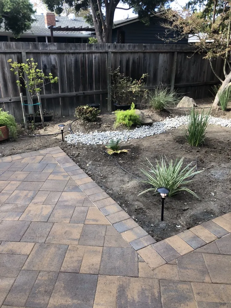 Top-rated yard cleanup service near you across Palo Alto, CA - Visionary Landscape Design