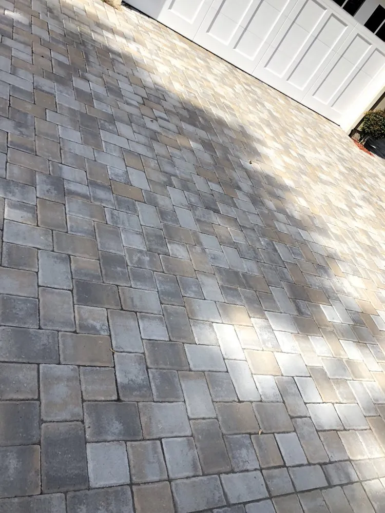 Trusted lawn care service for homes across Palo Alto, CA - Visionary Landscape Design