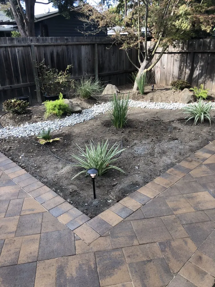 Local yard cleanup service near you in Palo Alto, CA by Visionary Landscape Design