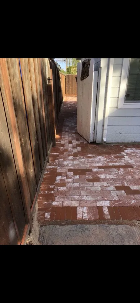 Trusted lawn care service for residential properties across Palo Alto, CA - Visionary Landscape Design