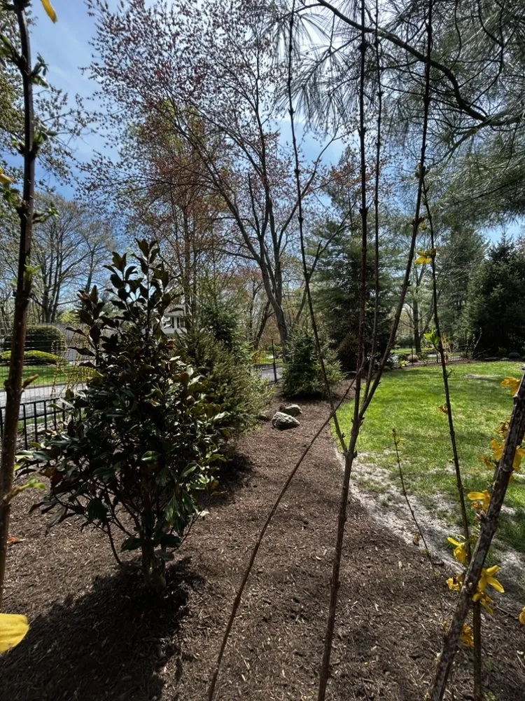 Custom yard maintenance for homes across Old Tappan, NJ - Visionary Landscape
