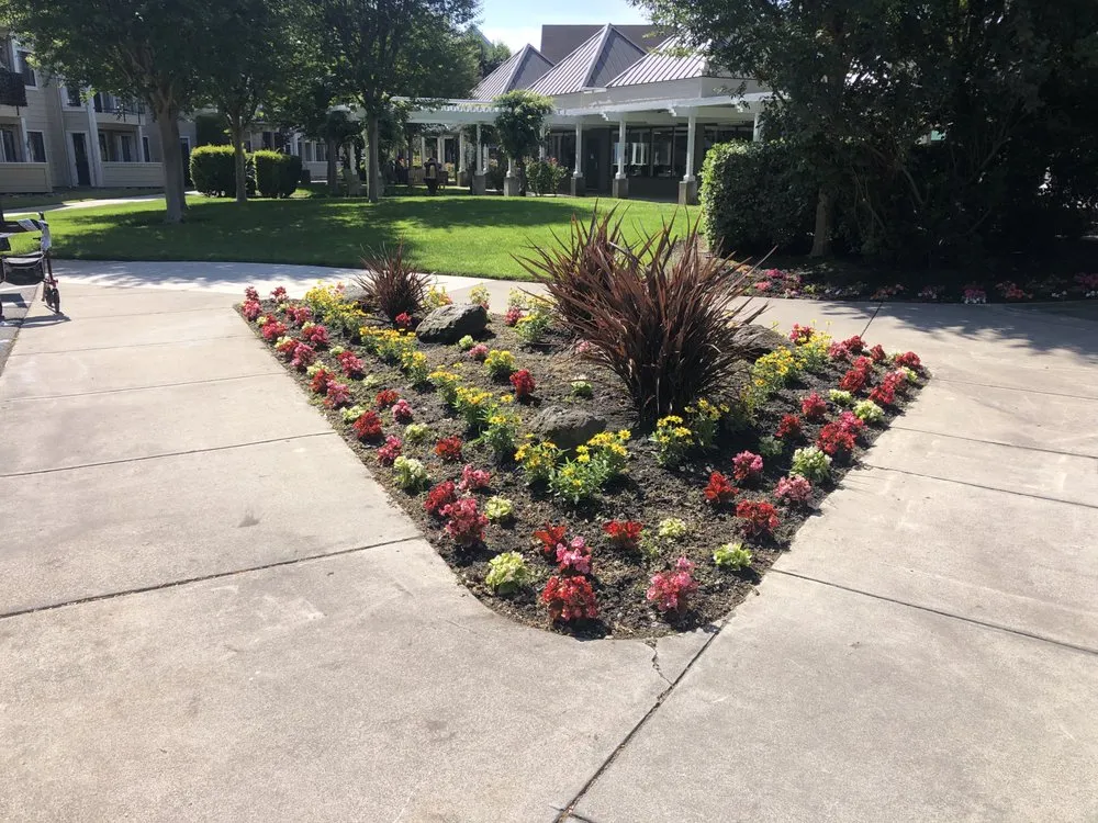 Affordable landscape installation with custom design across Turlock, CA - Visionary Landscape