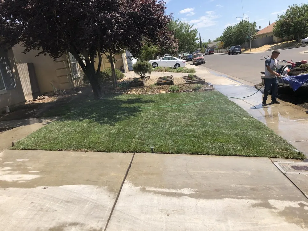 Top-rated yard maintenance near you across Turlock, CA - Visionary Landscape
