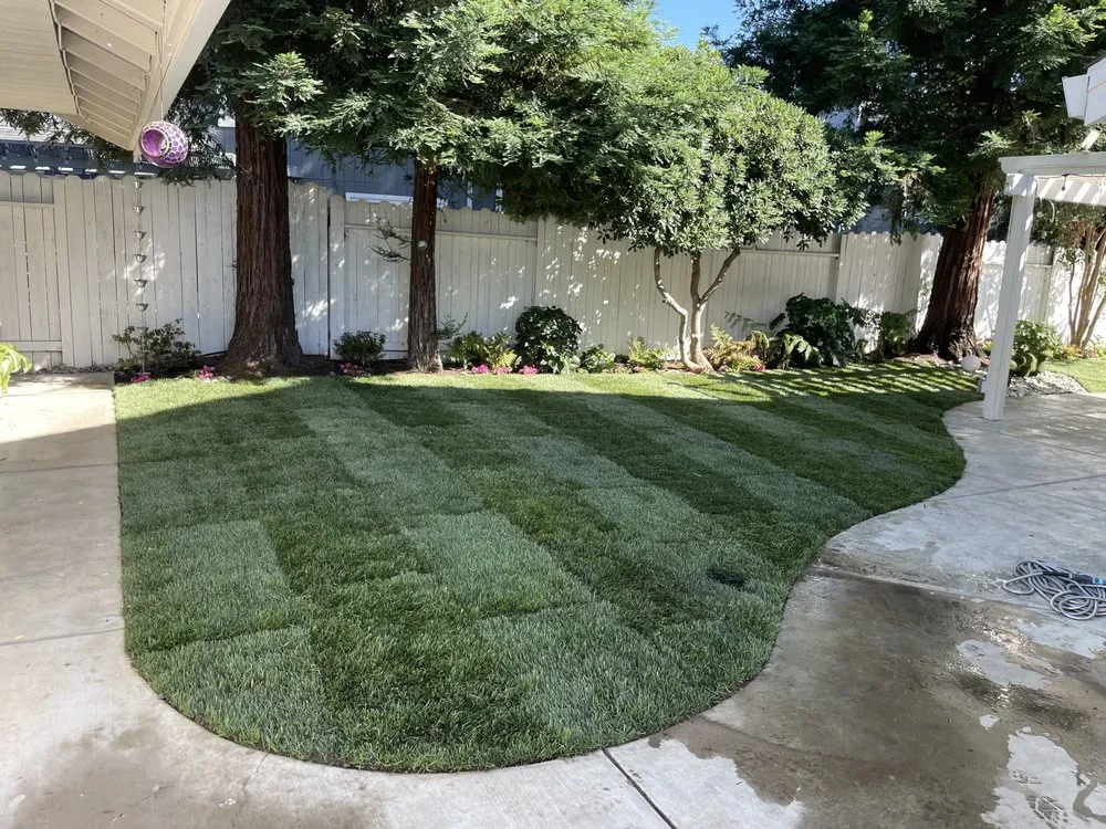 Reliable landscape installation in Turlock, CA by Visionary Landscape