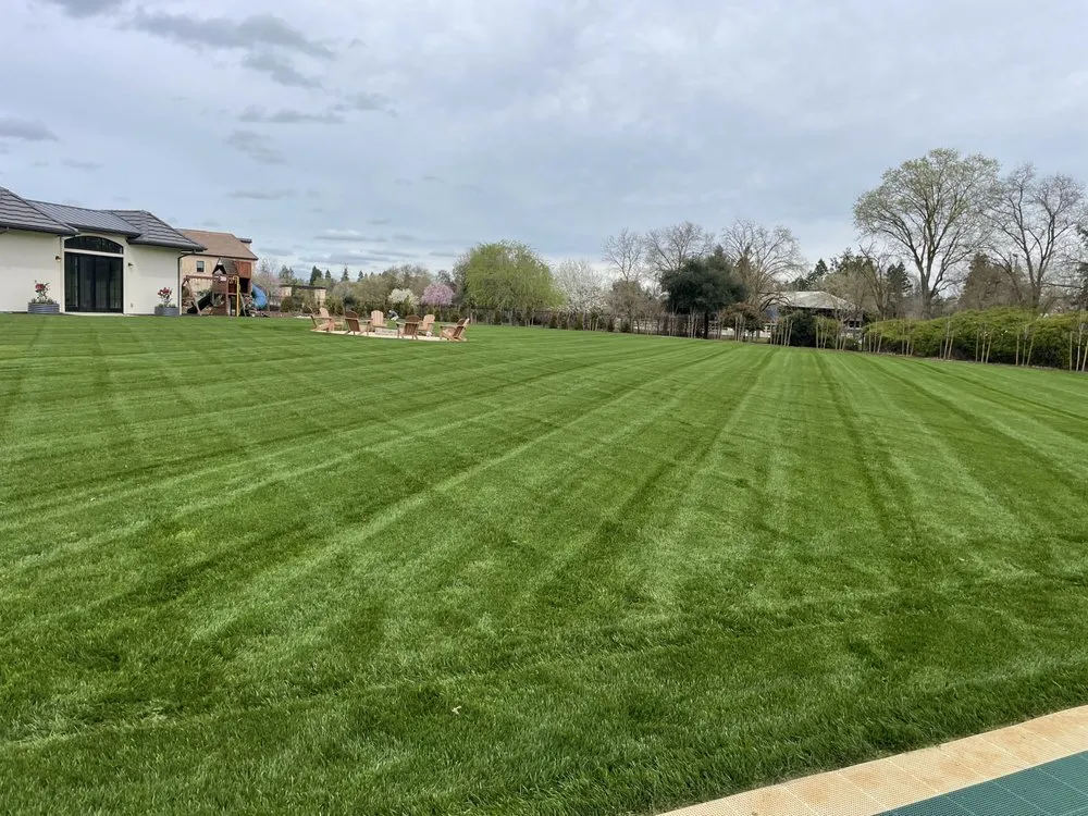 Affordable yard maintenance in Turlock, CA by Visionary Landscape