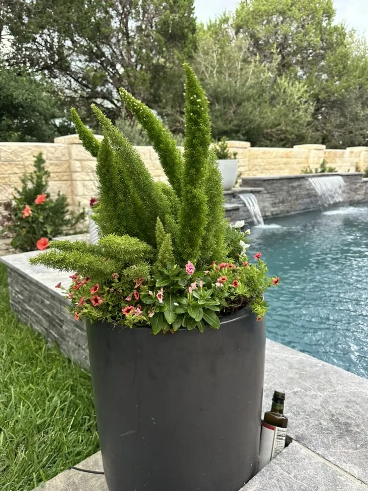 Expert lawn care service experts serving Schertz, TX - Visionary Landscapes