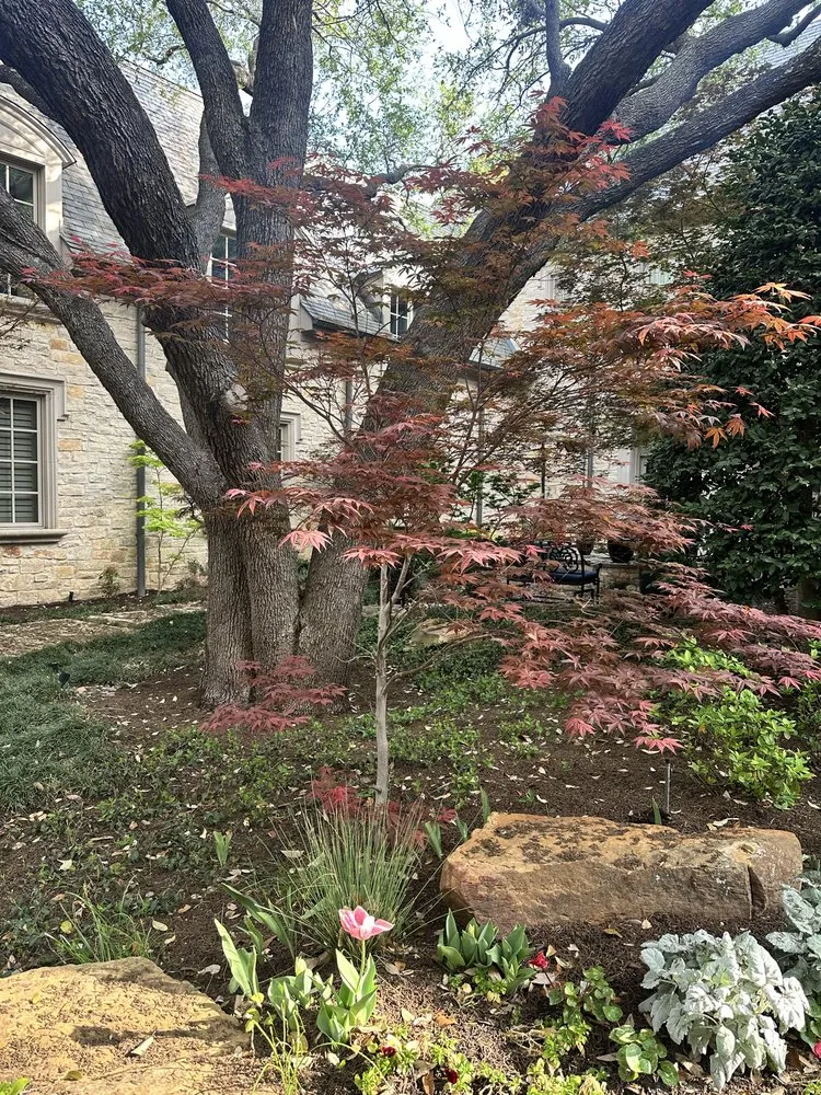 Expert landscaping services for residential properties across Schertz, TX - Visionary Landscapes