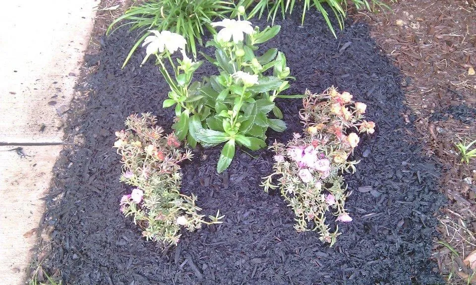 Custom outdoor landscaping in Nashville, TN by Visionary Lawn Services