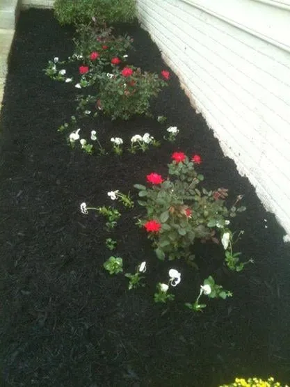 Custom yard maintenance in Nashville, TN by Visionary Lawn Services