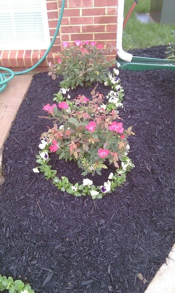 Professional yard maintenance experts serving Nashville, TN - Visionary Lawn Services