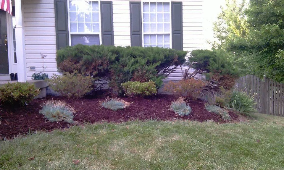 Expert outdoor landscaping for residential properties in Nashville, TN by Visionary Lawn Services