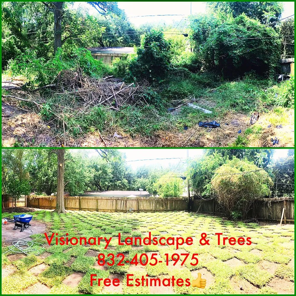 Expert outdoor landscaping experts serving Houston, TX - Visionary Trees & Landscape
