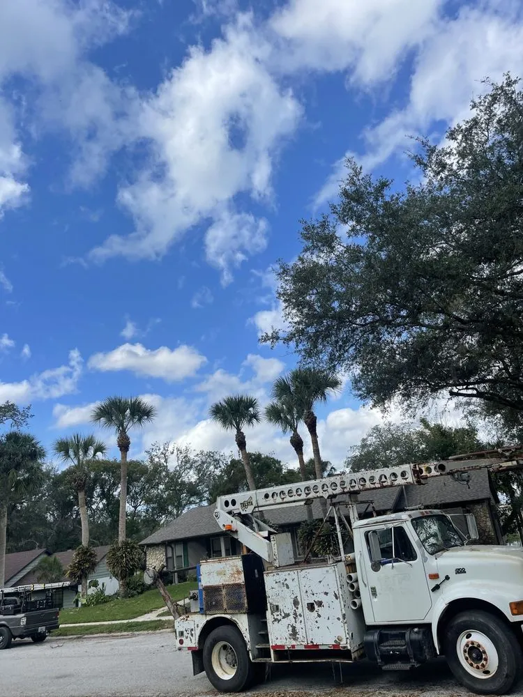 Professional landscape installation for beautiful yards in Orlando, FL by Visioneer Property Care