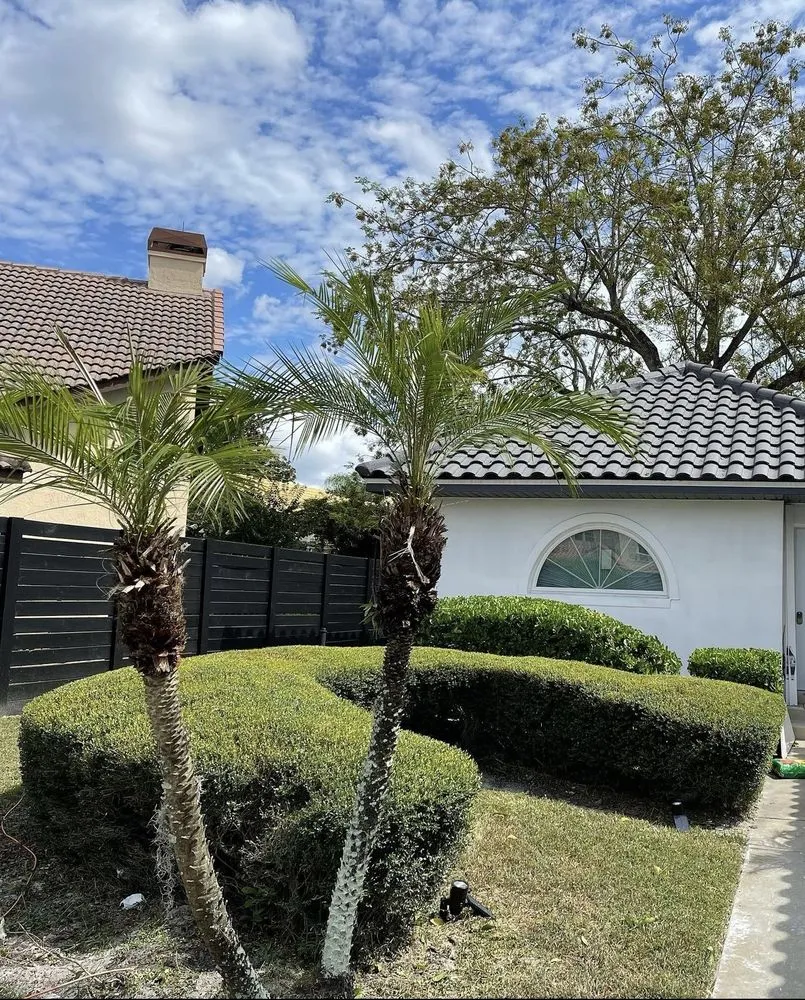 Affordable lawn care service for beautiful yards across Orlando, FL - Visioneer Property Care