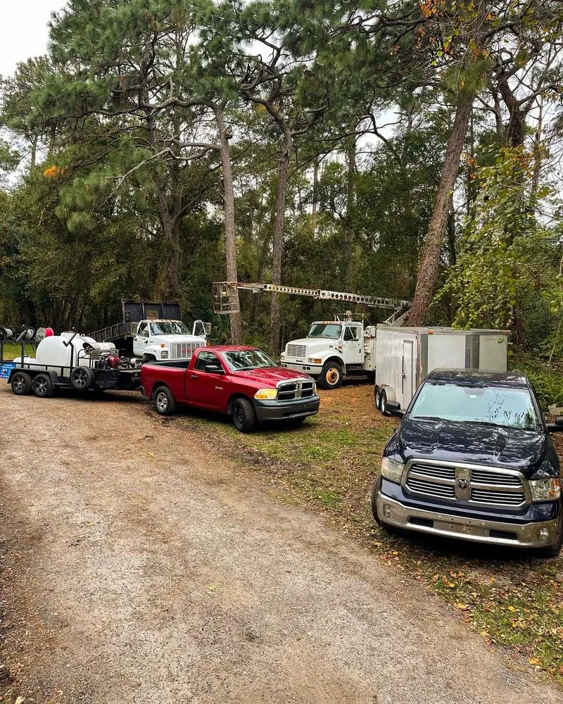 Top-rated residential landscaping for beautiful yards across Orlando, FL - Visioneer Property Care