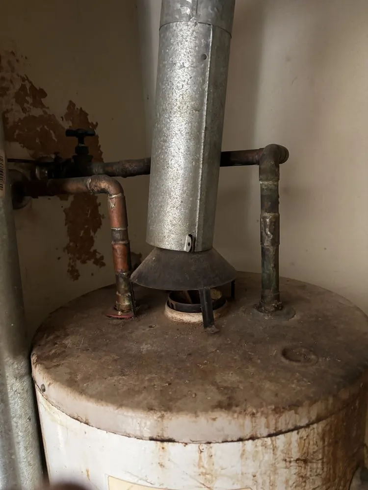 Reliable yard maintenance in Dallas, TX by Visions Custom Home Repair