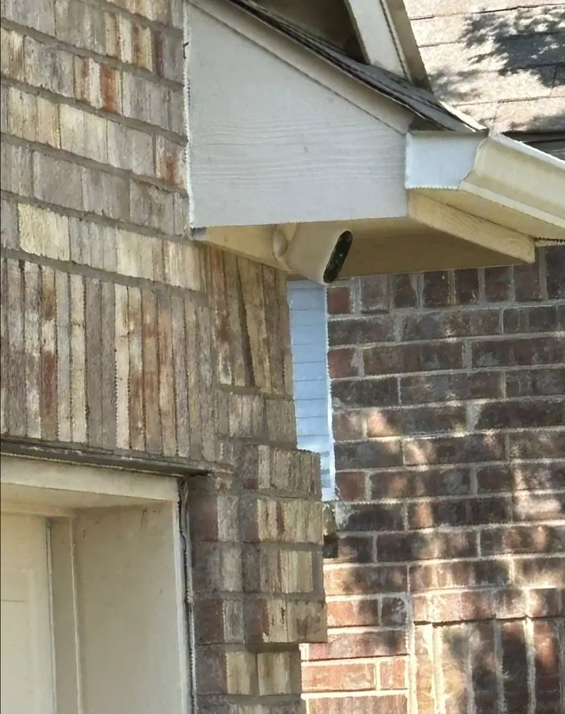 Trusted yard maintenance in Dallas, TX - Visions Custom Home Repair