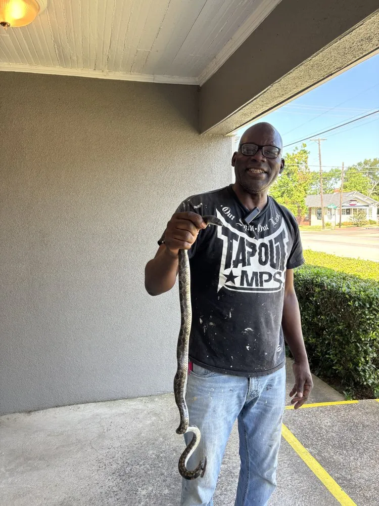 Reliable residential landscaping experts serving Dallas, TX - Visions Custom Home Repair