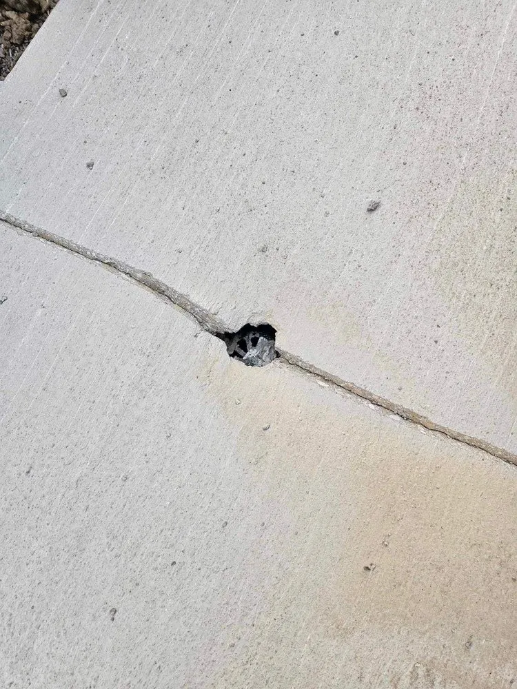 Local yard cleanup service experts serving Antioch, CA - Vision’s Landscape And Concrete Services