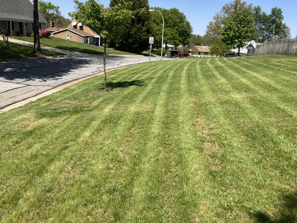 Affordable landscape installation experts serving North Beach, MD - Visions Lawn Care