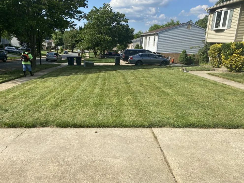 Top-rated residential landscaping with custom design across North Beach, MD - Visions Lawn Care