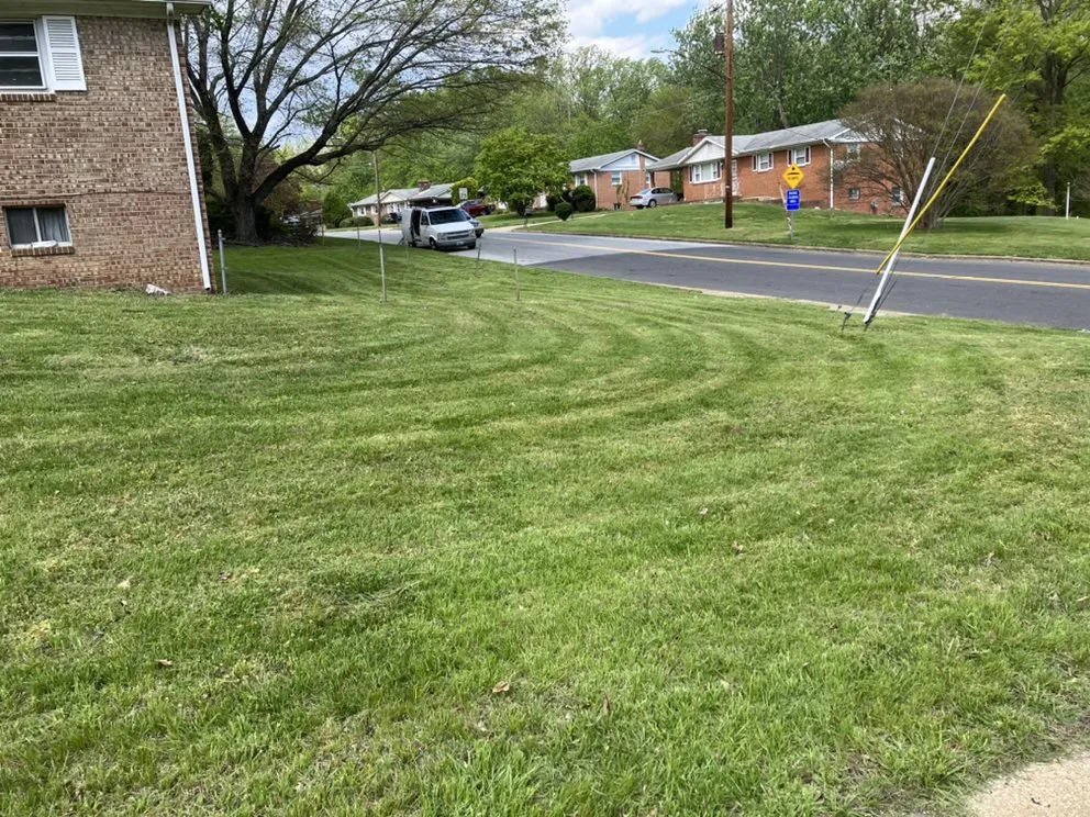 Expert lawn care service near you in North Beach, MD by Visions Lawn Care