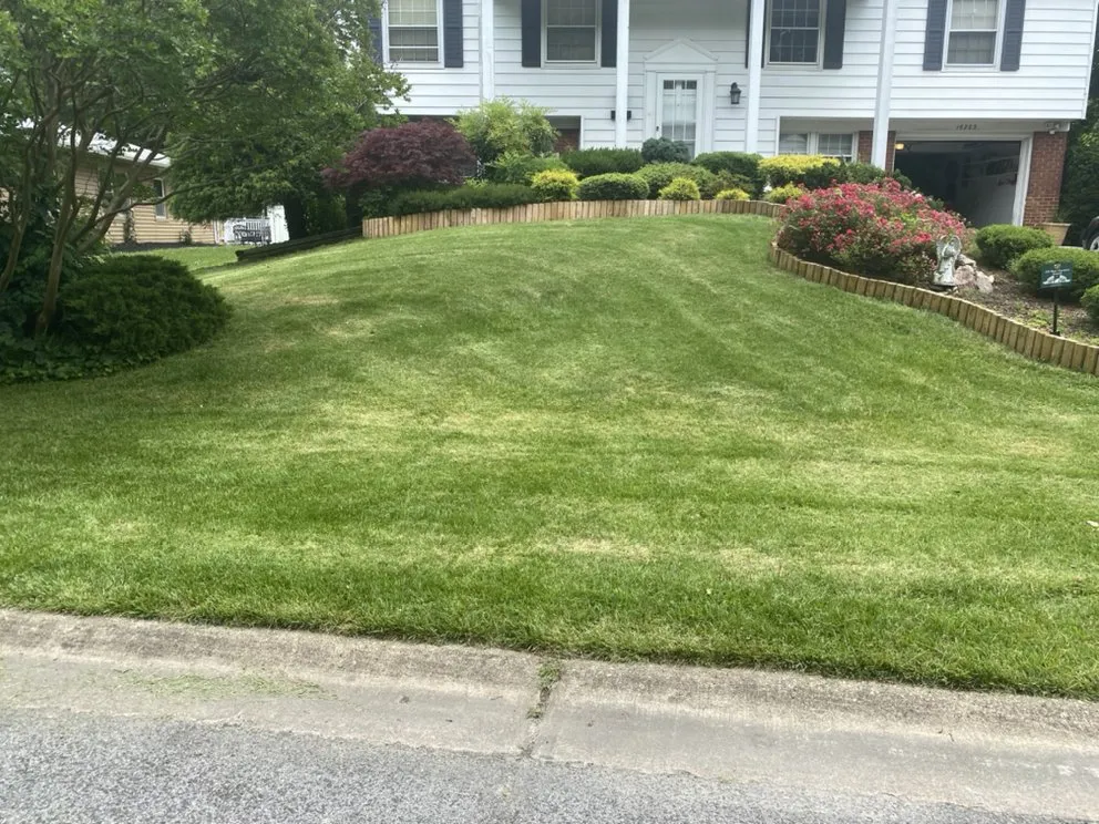 Affordable lawn care service with custom design across North Beach, MD - Visions Lawn Care