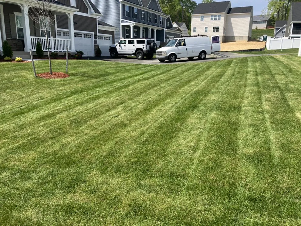Custom lawn mowing service in North Beach, MD - Visions Lawn Care
