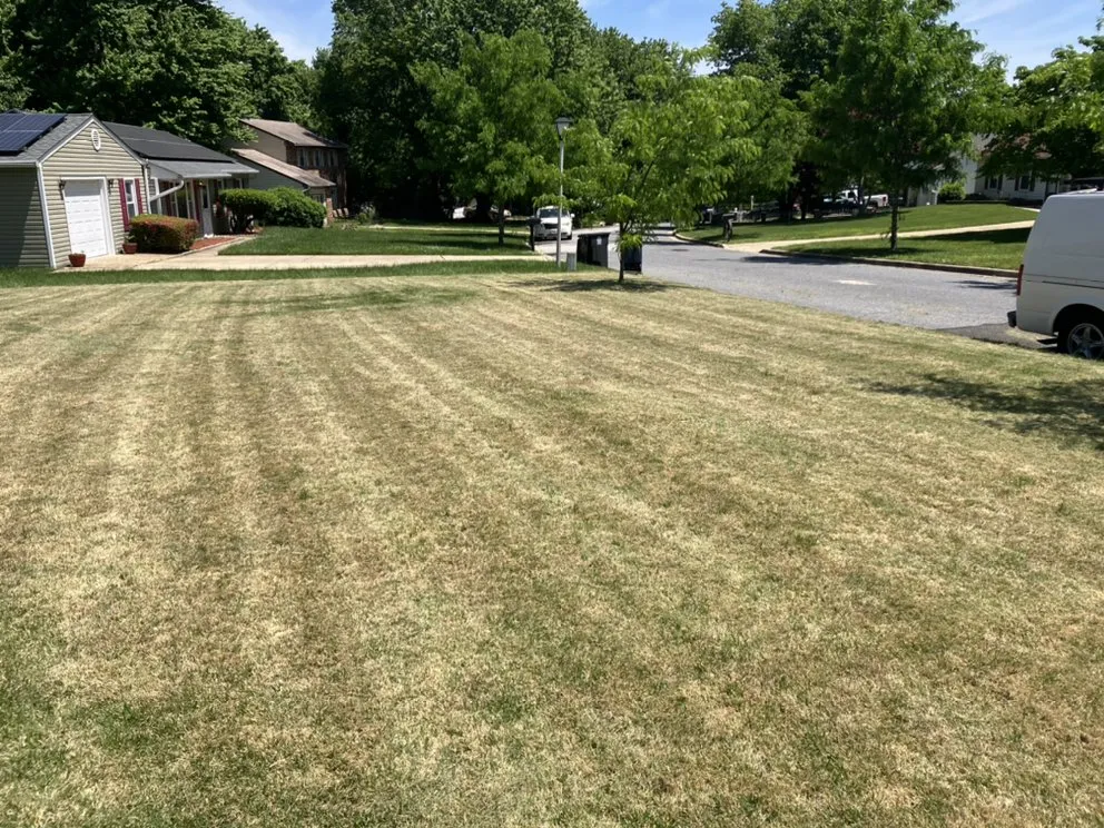 Expert garden landscaping for residential properties across North Beach, MD - Visions Lawn Care