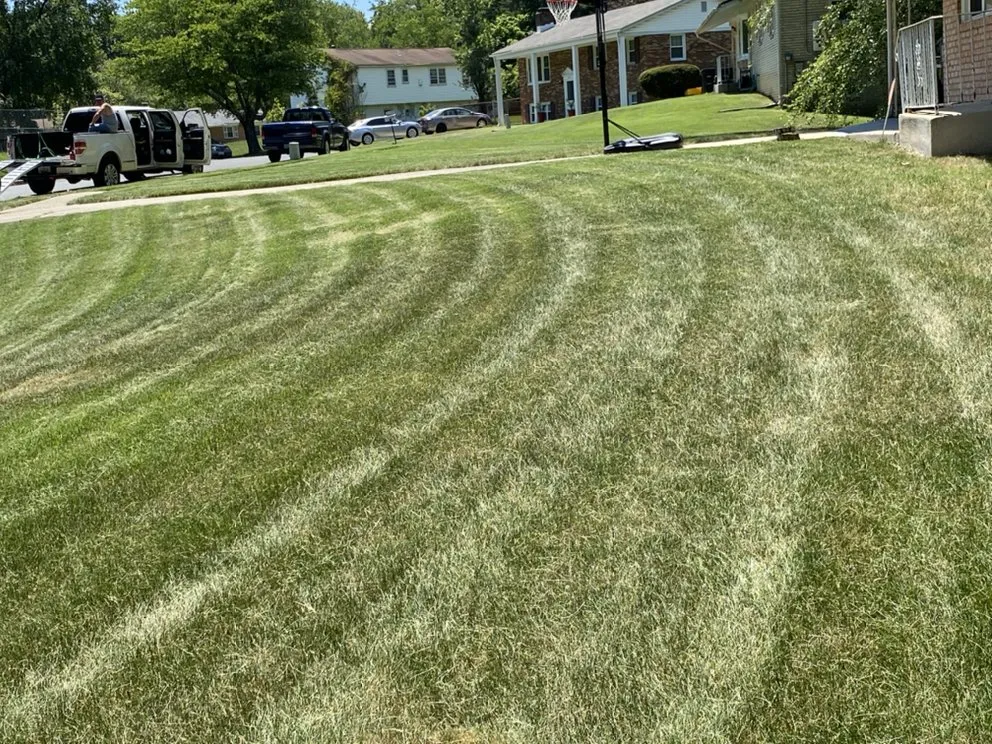 Expert lawn care service for outdoor upgrades across North Beach, MD - Visions Lawn Care