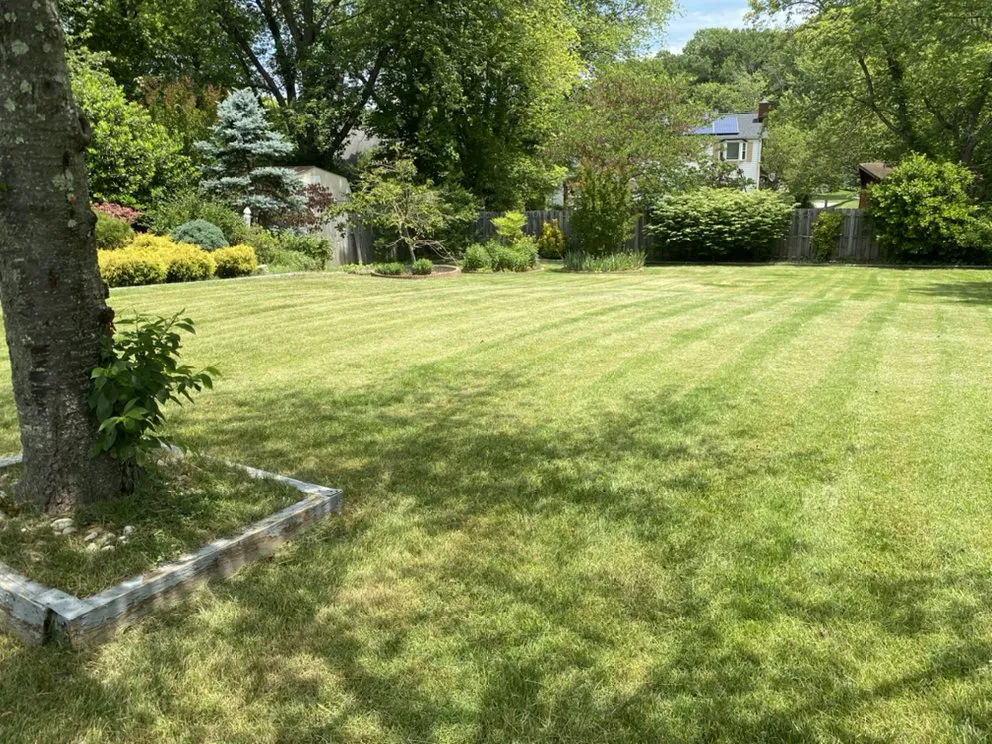 Custom residential landscaping with custom design in North Beach, MD by Visions Lawn Care