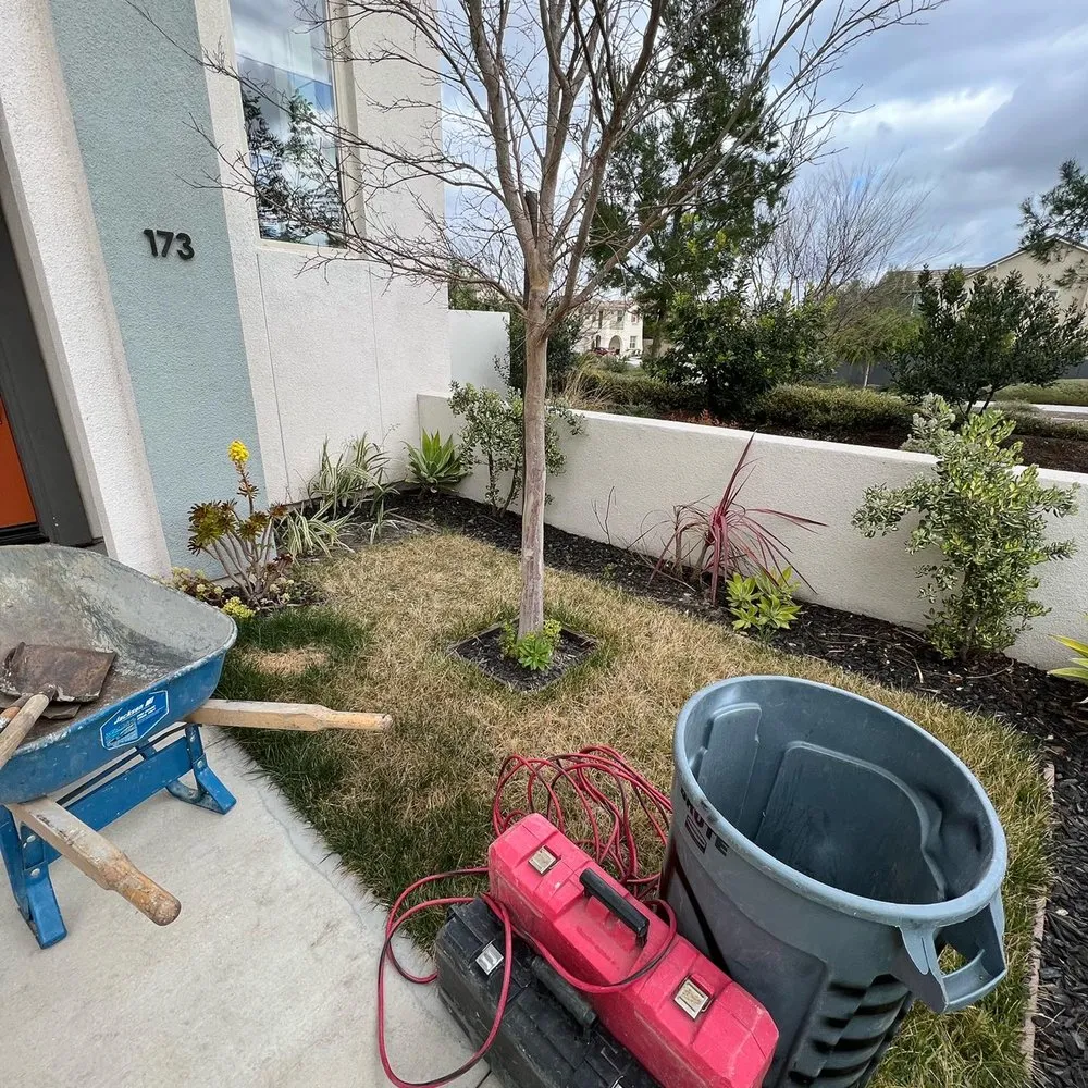 Reliable landscape installation experts serving Dana Point, CA - VisionScape Company