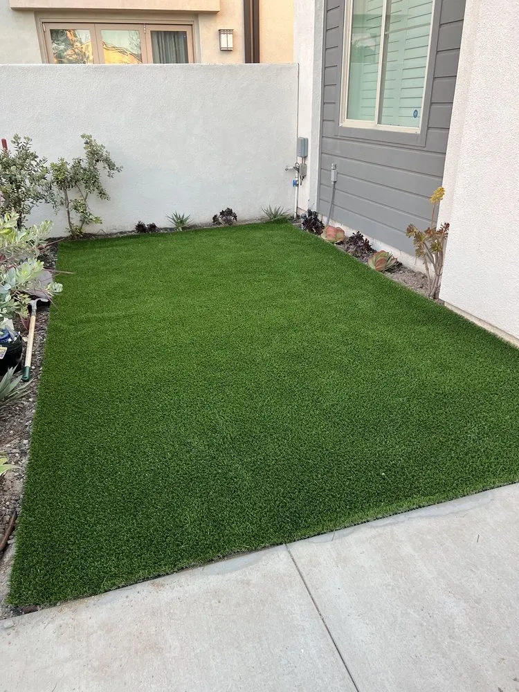 Top-rated lawn care service experts serving Dana Point, CA - VisionScape Company