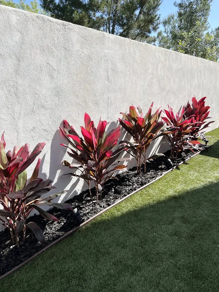 Reliable outdoor landscaping for year-round maintenance in Dana Point, CA by VisionScape Company