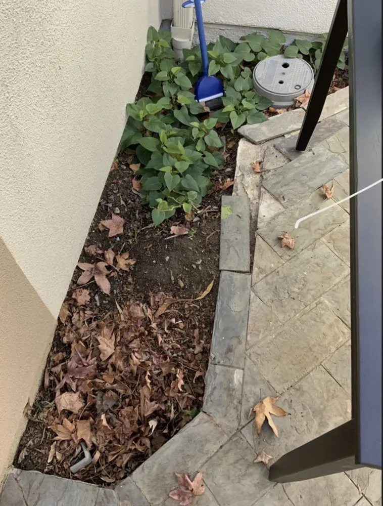 Affordable lawn care service for year-round maintenance in Dana Point, CA by VisionScape Company