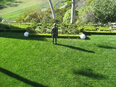 Trusted garden landscaping with custom design in Laguna Beach, CA by Visionscape